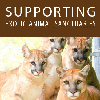 Supporting Exotic Animal Sanctuaries